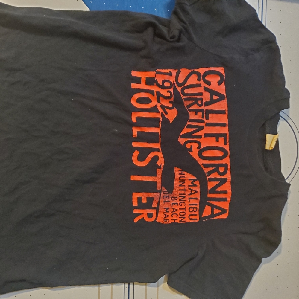 Hollister T Shirt